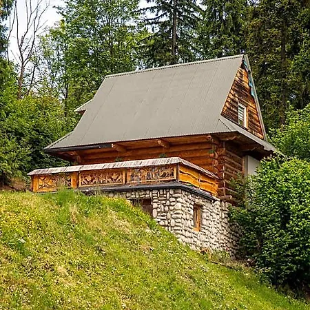 Chalet Burego W Bialce Tatrzanskiej *